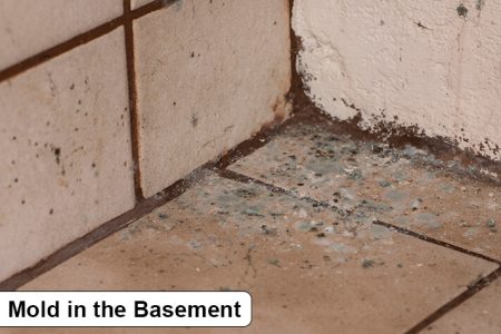 Basement Leaks Where Wall Meets Floor: How to Fix - MellowPine